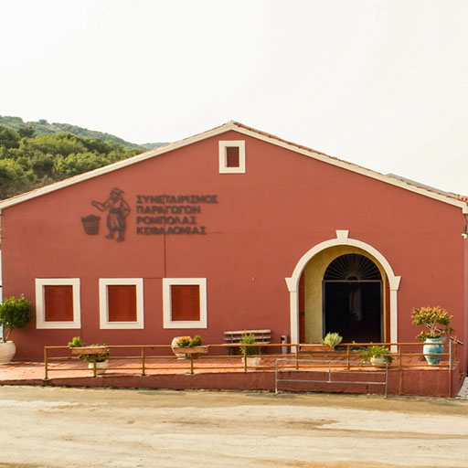 kefalonia wine tour julia