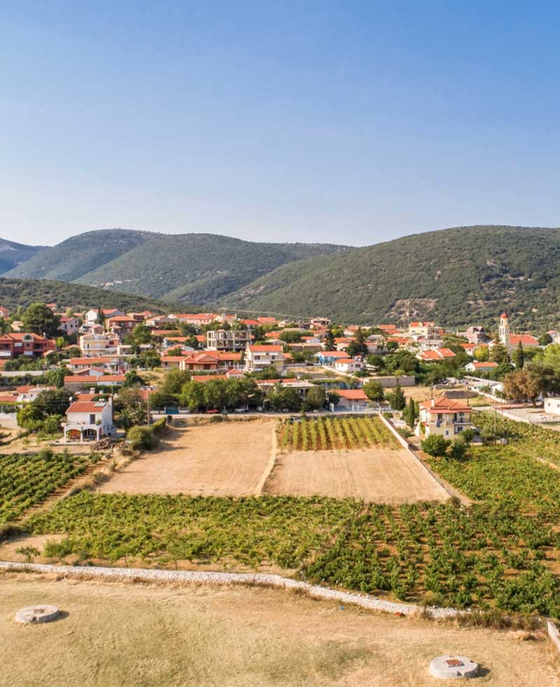 tours-about-wine-tour-valsamata
