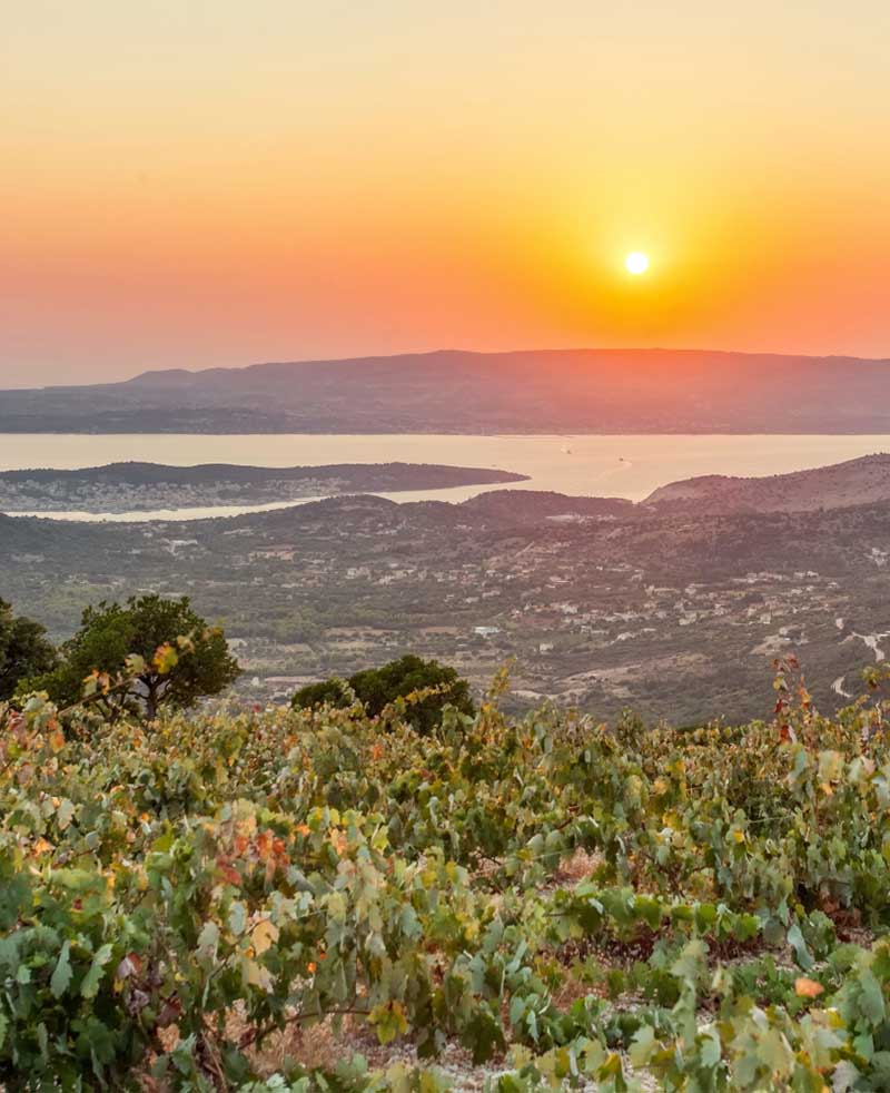 wine tours kefalonia